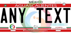 Custom Aguascalientes '12 cases/license plates