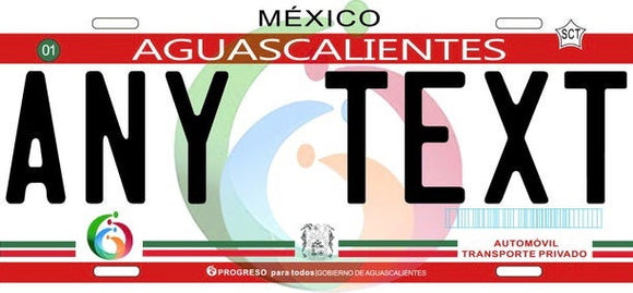 Custom Aguascalientes '12 cases/license plates