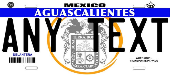 Custom Aguascalientes '05 cases/license plates