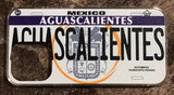 Aguascalientes 3D ‘05 cases