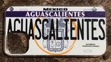 Aguascalientes 3D ‘05 cases