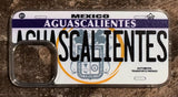 Aguascalientes 3D ‘05 cases