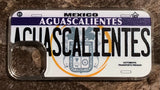 Aguascalientes 3D ‘05 cases