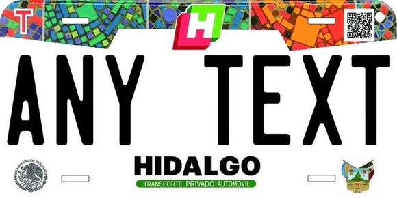 Custom Hidalgo '18 cases/license plates