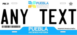 Custom Puebla '11 cases/license plates