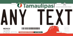 Custom Tamaulipas '13 cases/license plates