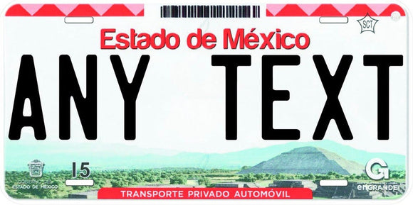 Custom Estado de Mexico '15 cases/license plates