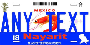 Custom Nayarit '04 cases/license plates