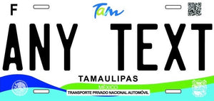 Custom Tamaulipas '19 cases/license plates