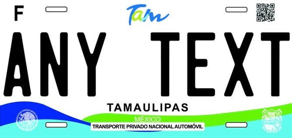 Custom Tamaulipas '19 cases/license plates