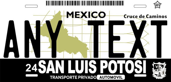 Custom San Luis Potosi '01 cases/license plates