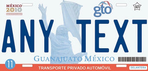 Custom Guanajuato '08 cases/license plates