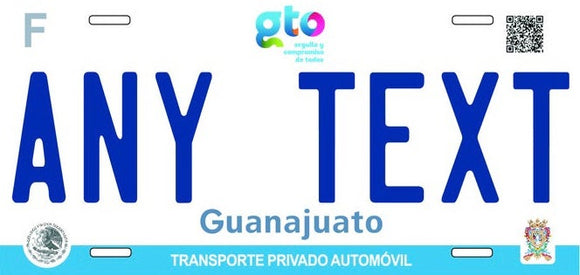 Custom Guanajuato '17 cases/license plates