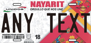 Custom Nayarit '13 cases/license plates