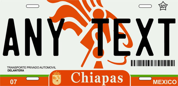 Custom Chiapas '09 cases/license plates