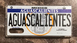 Aguascalientes 3D ‘05 cases