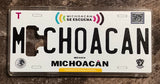 Michoacan 3D ‘19 cases