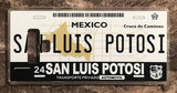 San Luis Potosi 3D ‘01 cases