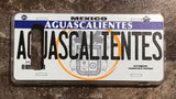 Aguascalientes 3D ‘05 cases