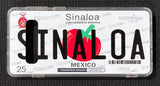 Sinaloa 3D ‘06 cases