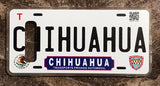 Chihuahua 3D ‘17 cases