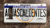 Aguascalientes 3D ‘05 cases