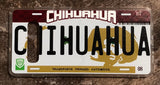 Chihuahua 3D ‘09 cases