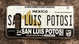 San Luis Potosi 3D ‘01 cases