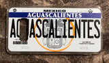 Aguascalientes 3D ‘05 cases