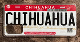 Chihuahua 3D ‘16 cases