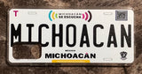 Michoacan 3D ‘19 cases