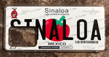 Sinaloa 3D ‘06 cases