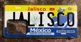 Jalisco 3D ‘02 cases