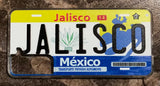 Jalisco 3D ‘02 cases