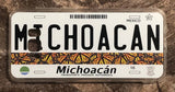 Michoacan 3D ‘07 cases