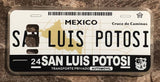 San Luis Potosi 3D ‘01 cases