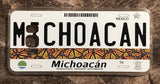 Michoacan 3D ‘07 cases