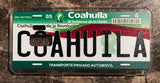 Coahuila 3D ‘10 cases