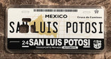 San Luis Potosi 3D ‘01 cases