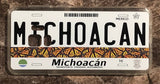 Michoacan 3D ‘07 cases