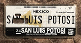 San Luis Potosi 3D ‘01 cases