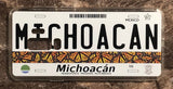 Michoacan 3D ‘07 cases