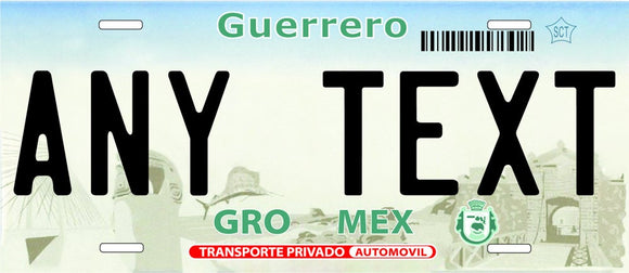 Custom Guerrero '03 cases/license plates