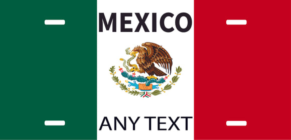 Custom Mexico cases/license plates