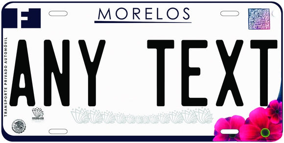 Custom Morelos ‘19 cases/license plates