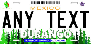 Custom Durango '03 cases/license plates