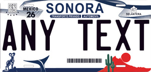 Custom Sonora '14 cases/license plates