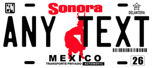 Custom Sonora '05 cases/license plates