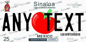 Custom Sinaloa '06 cases/license plates