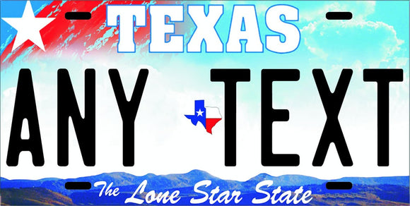 Custom Texas '11 cases/license plates